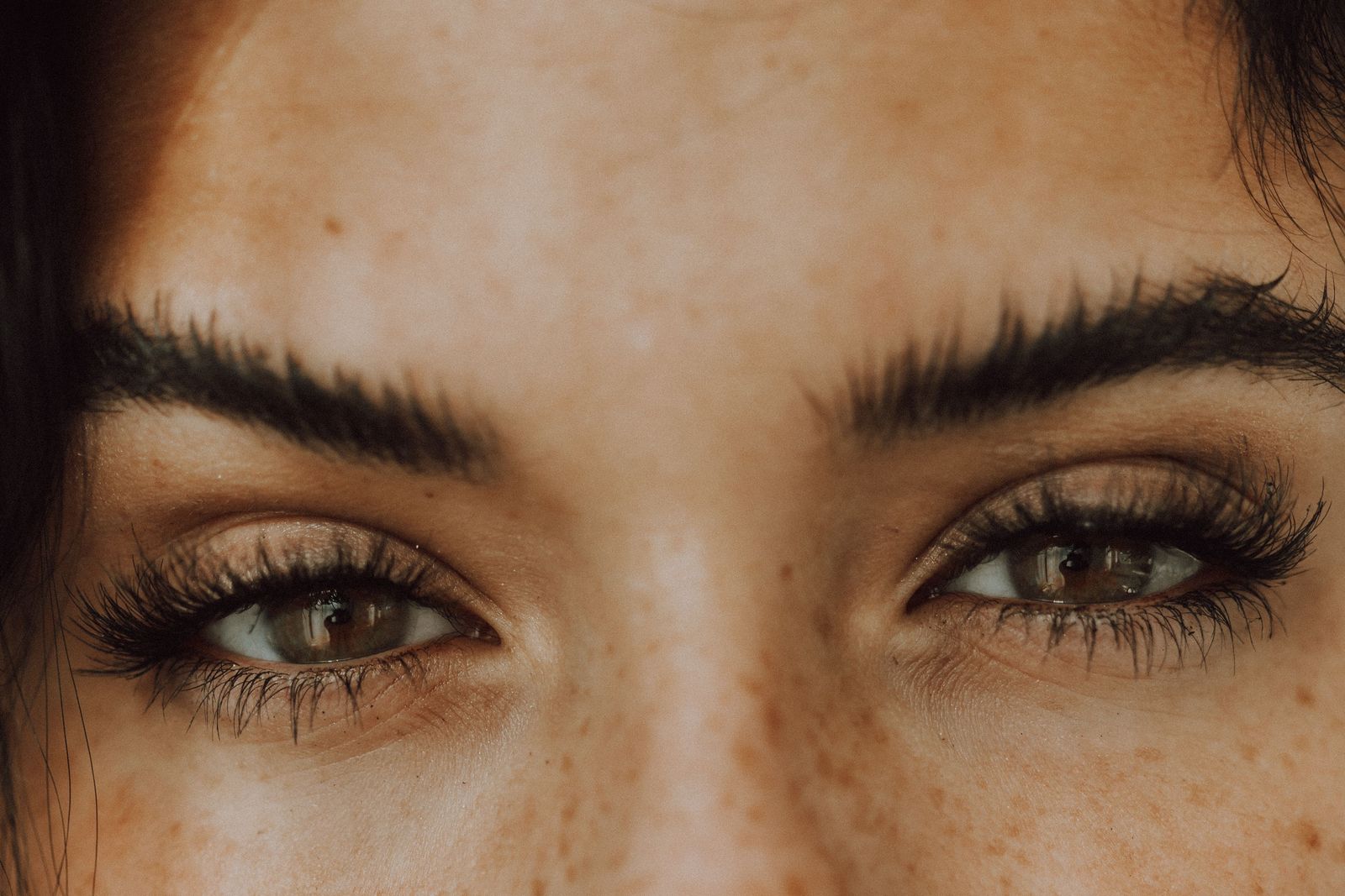 Close-up of full, natural, brushed-up eyebrows framing the eyes