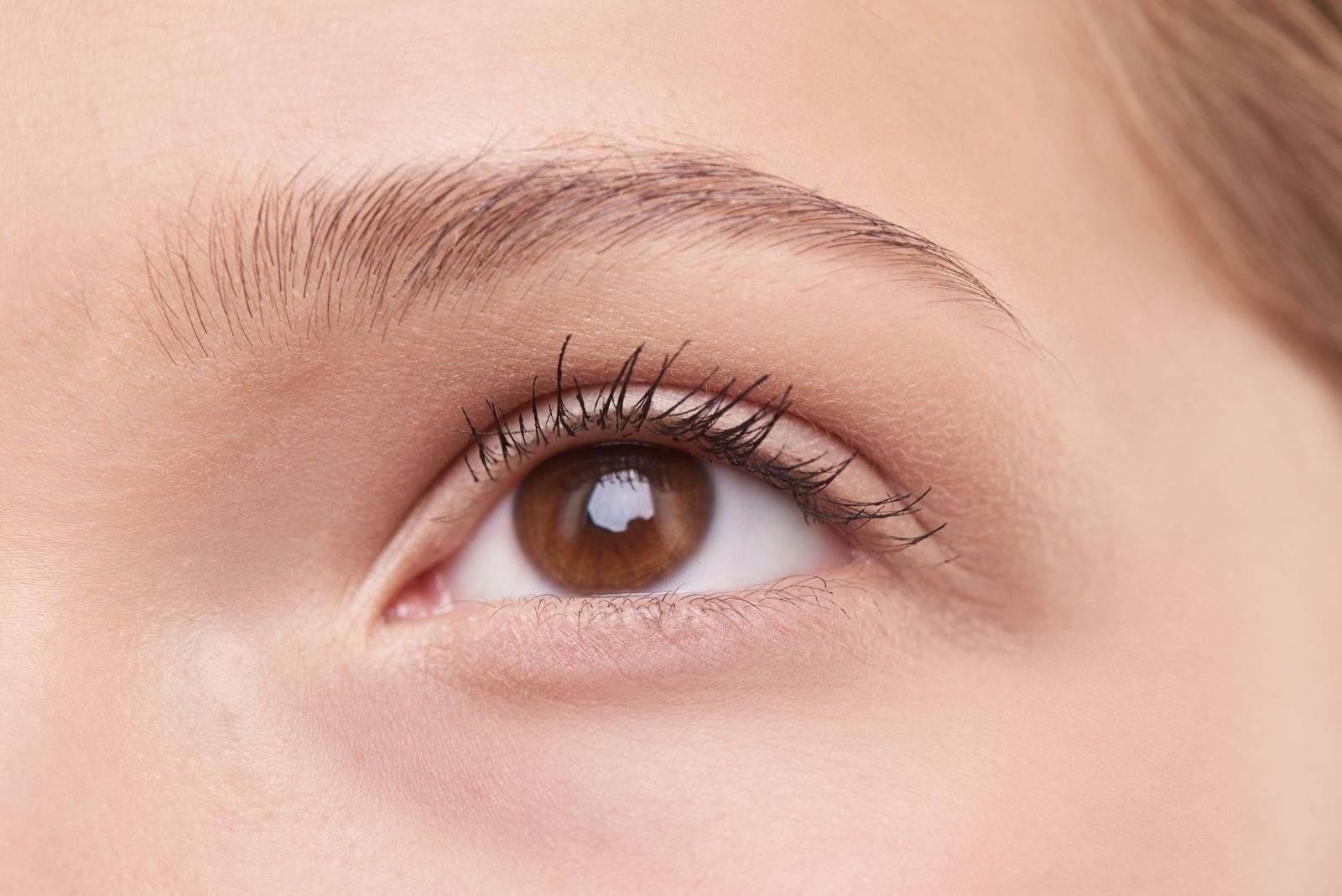 Close-up of naturally curled, darkened lashes framing an open eye after a lash lift and tint